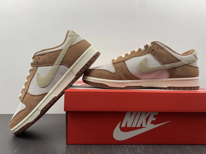 2824 Nike Dunk Low Medium Curry DD1390- GoAnywhere 2041