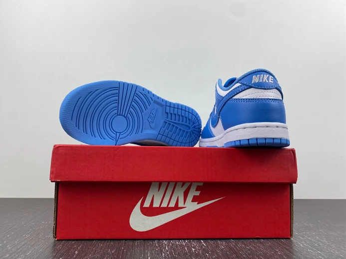 3137 Nike Dunk Low UNC CW1588- NewStyle 2848