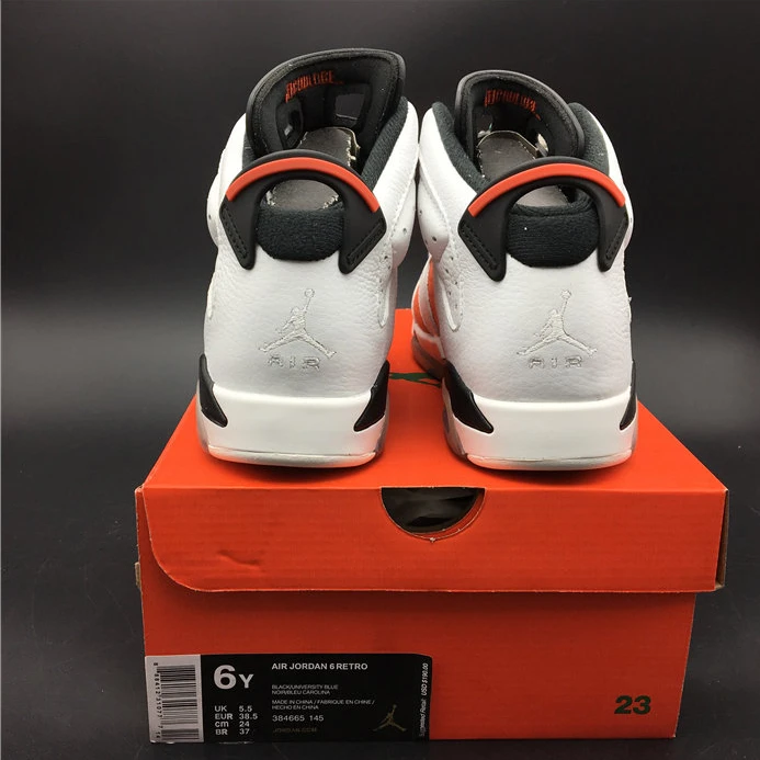 3619 Jordan 6 Retro Gatorade Like Mike White 384664- GoodFit 986
