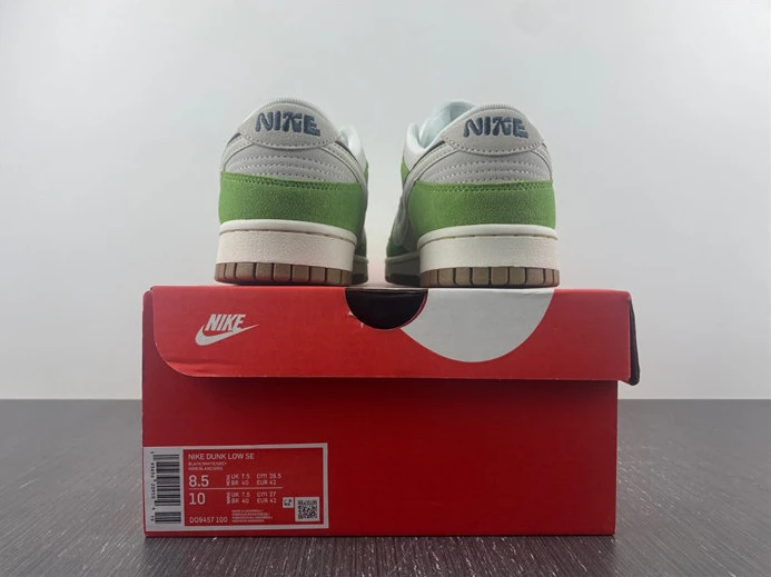 4380 Nike Dunk Low SE 85 DO9457- GoAnywhere 1839