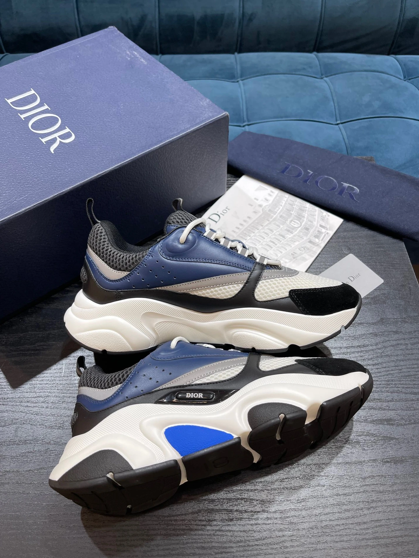 4381 Dior B22 GoAnywhere 1554