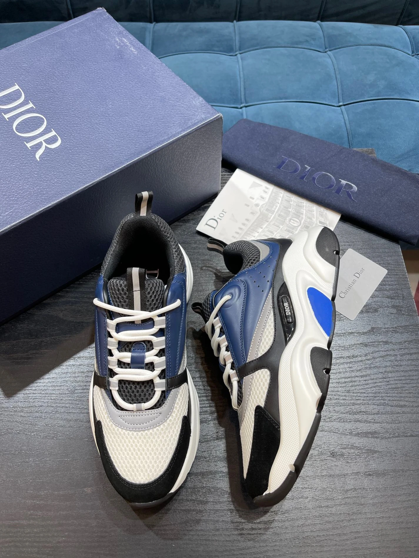 4381 Dior B22 GoAnywhere 1554