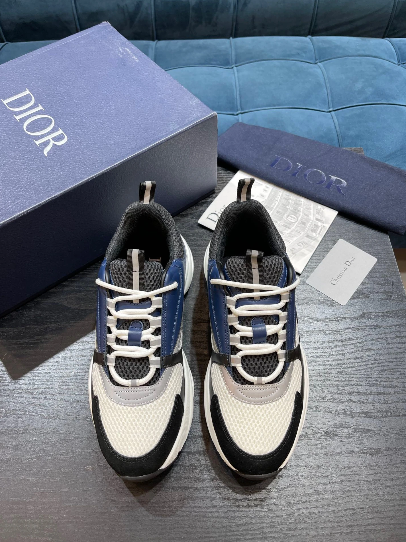 4381 Dior B22 GoAnywhere 1554