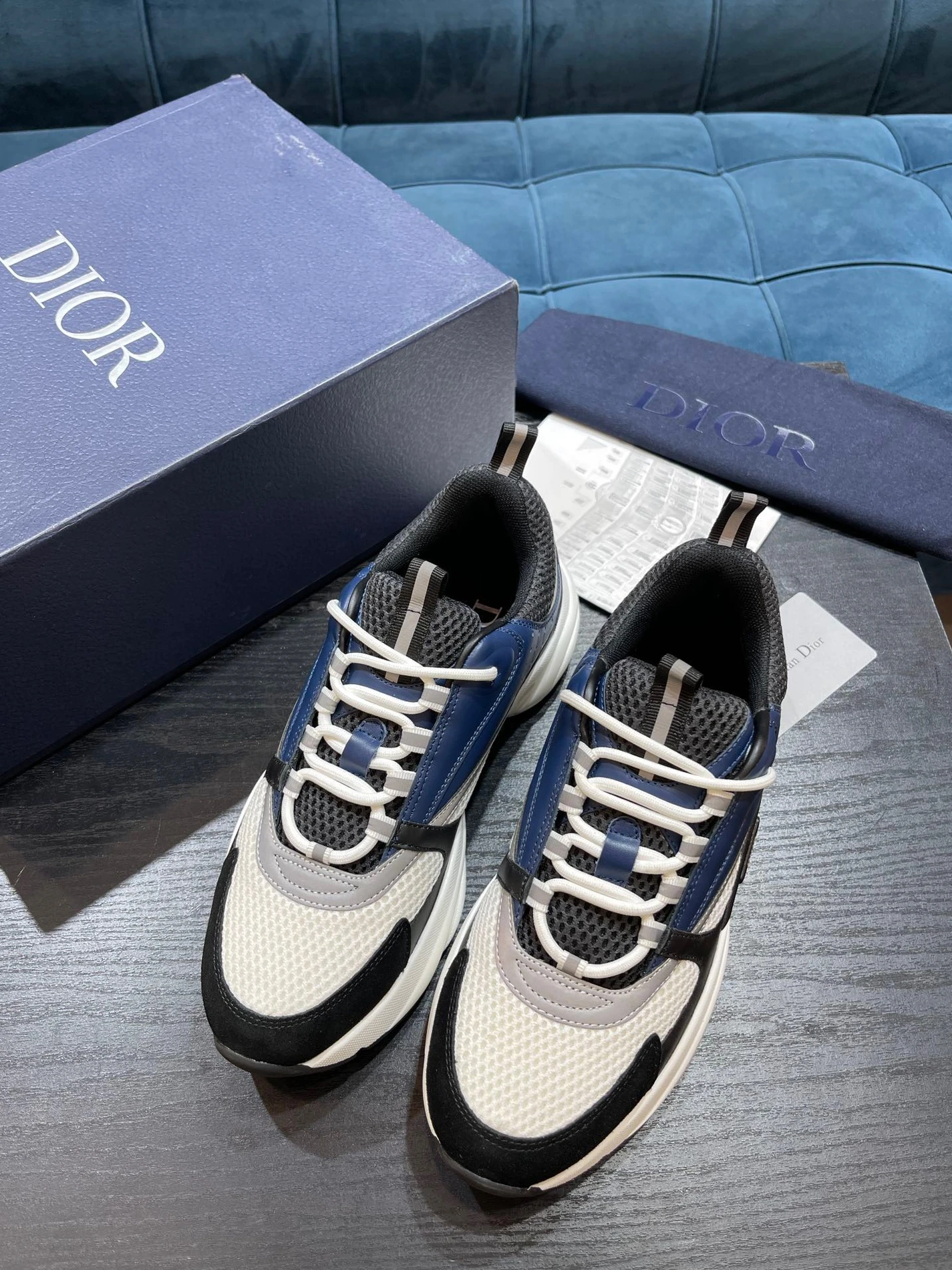 4381 Dior B22 GoAnywhere 1554
