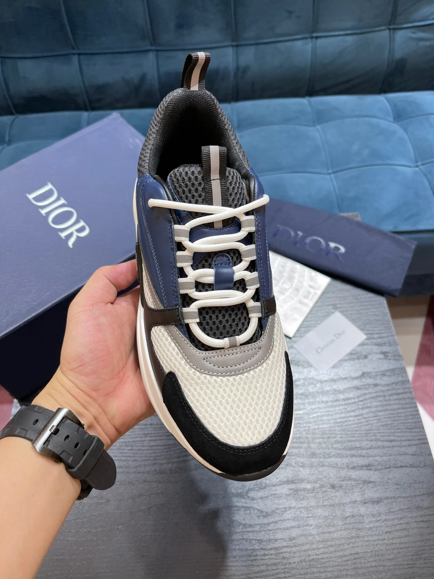4381 Dior B22 GoAnywhere 1554
