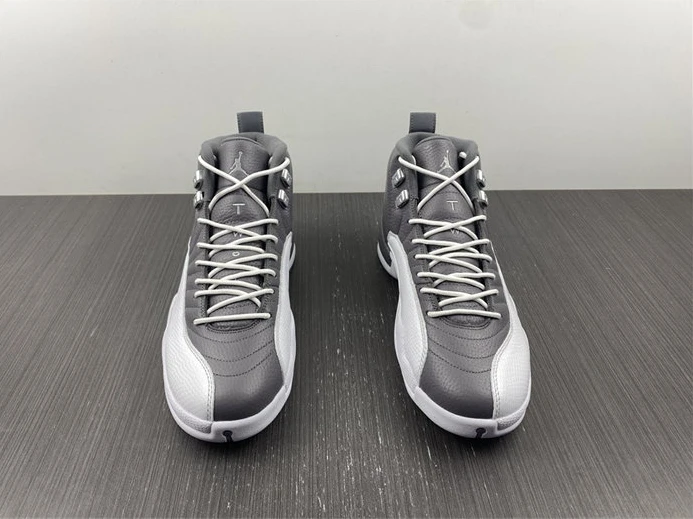 5085 Jordan 12 STEALTH CT8025- StreetReady 1112