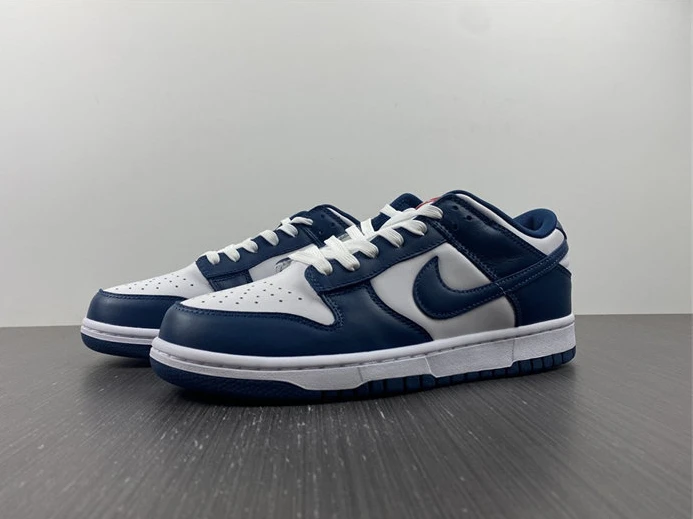 5280 Nike Dunk Low Valerian Blue DD1391- SportInspired 2035
