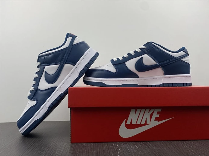 5280 Nike Dunk Low Valerian Blue DD1391- SportInspired 2035