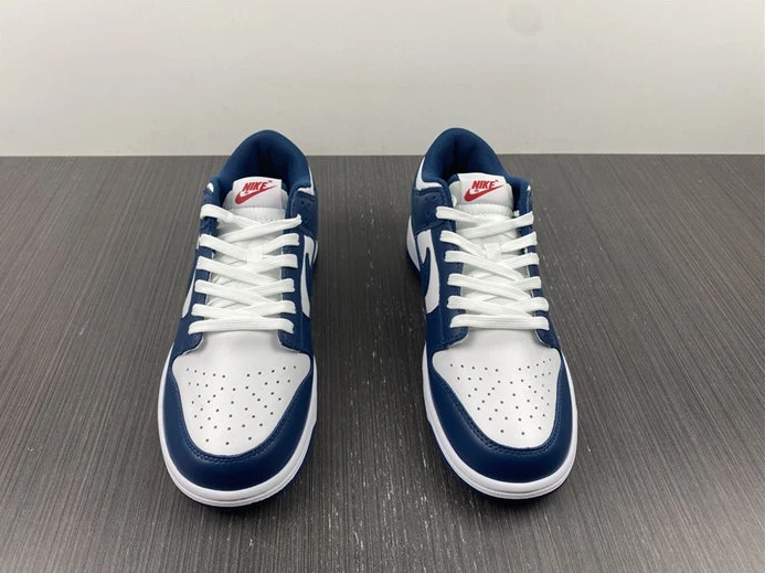 5280 Nike Dunk Low Valerian Blue DD1391- SportInspired 2035