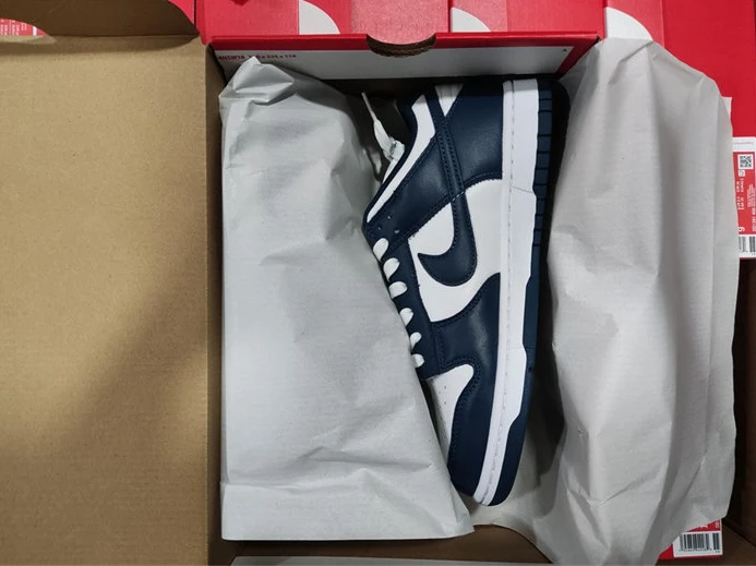 5280 Nike Dunk Low Valerian Blue DD1391- SportInspired 2035