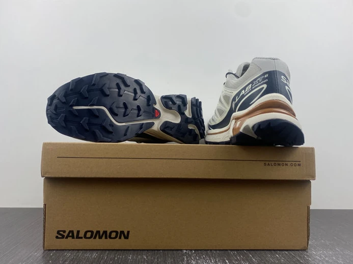 6241 Salomon SportInspired 3612