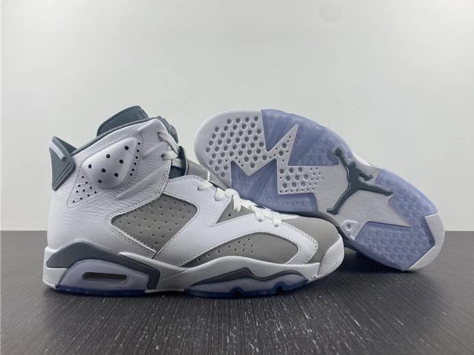 7878 Jordan 6  Cool Grey CT8529- BestValue 991