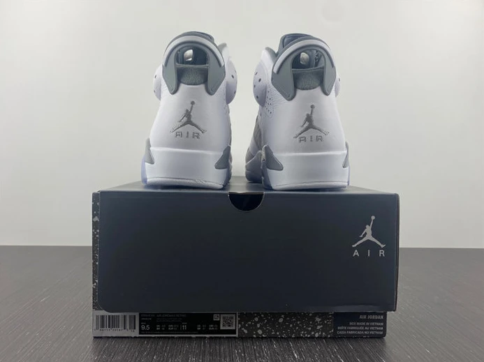 7878 Jordan 6  Cool Grey CT8529- BestValue 991