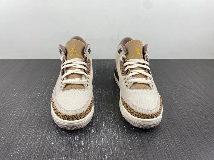 907 Jordan 3 Retro Palomino CT8532- BestValue 732