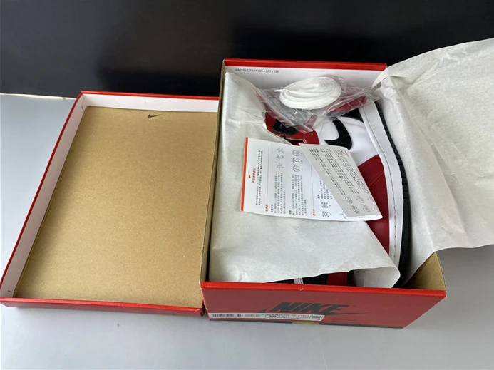 9071 Jordan1 Retro Satin Snake Chicago CD0461- Popular 515