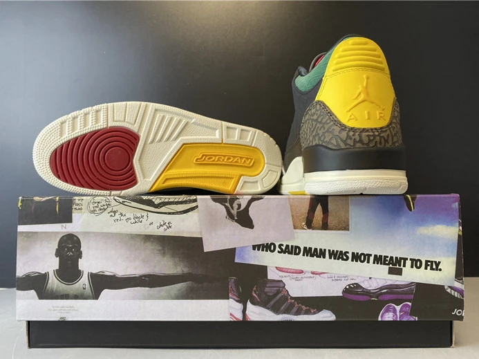 AllSeason 7482 Jordan3 SE Animal Instinct CV3583- 760