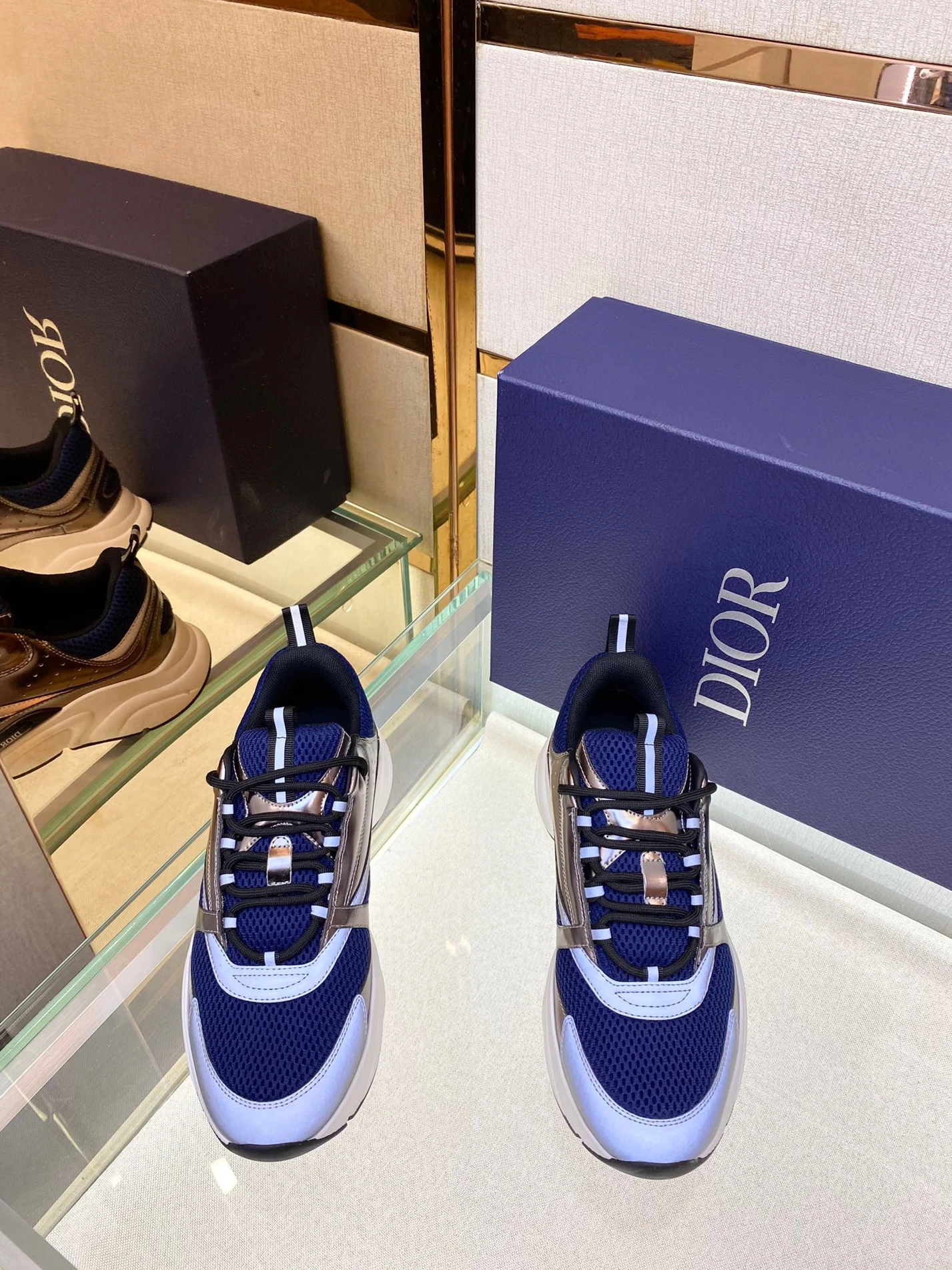 DailyWear 3300 Dior B22 1556
