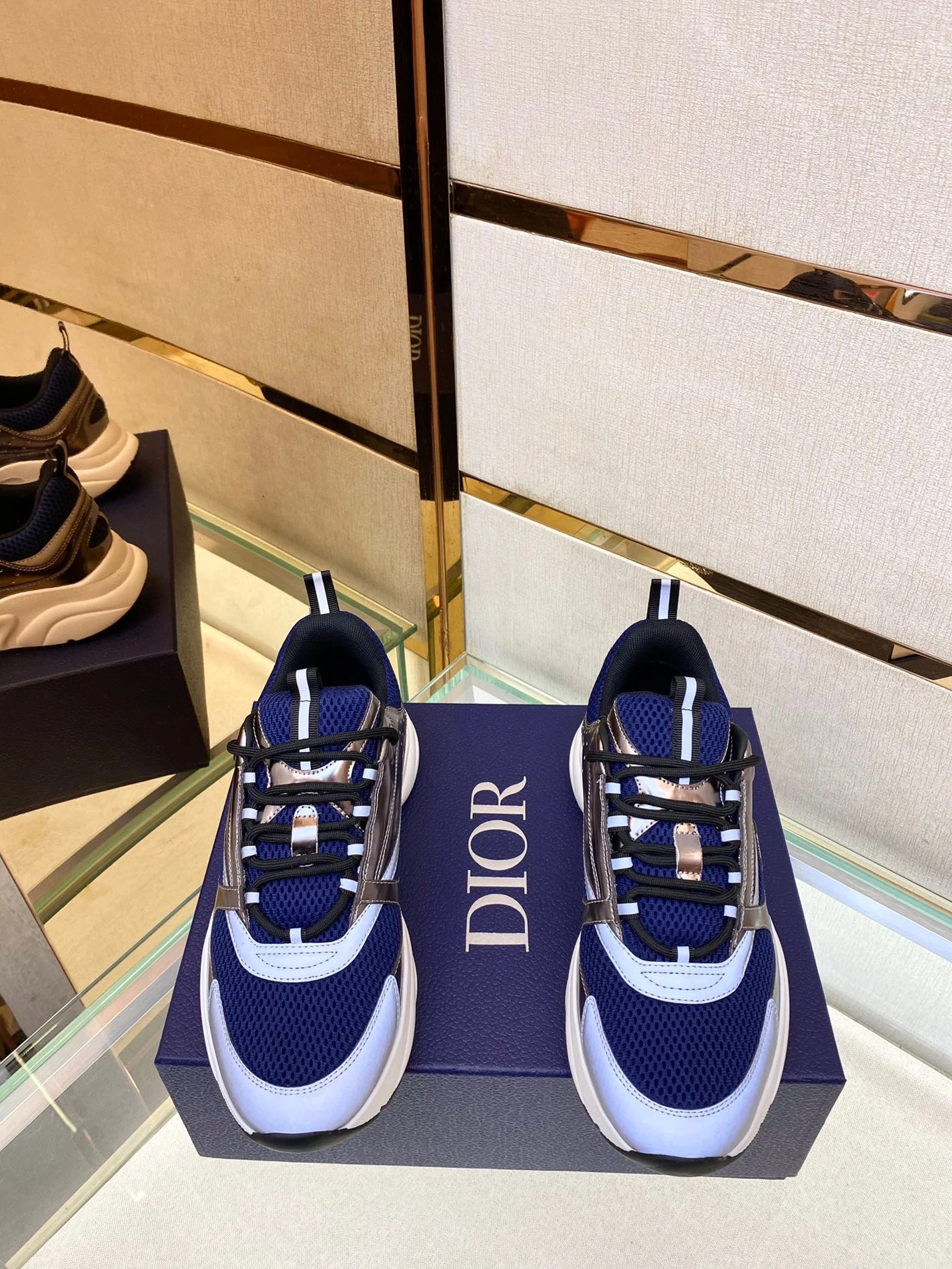 DailyWear 3300 Dior B22 1556