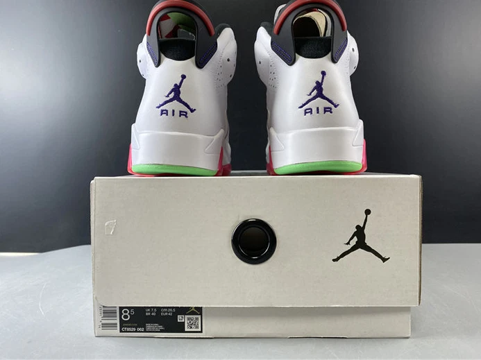 DailyWear Jordan6 Retro Hare CT8529-062 1006
