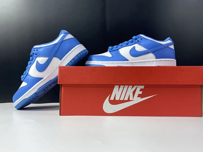 EasyMatch Nike Dunk Low UNC DD1391-102 2105
