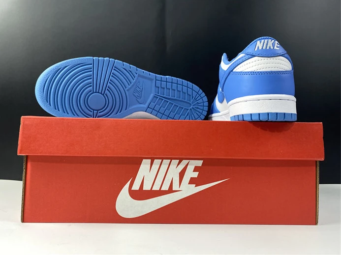 EasyMatch Nike Dunk Low UNC DD1391-102 2105