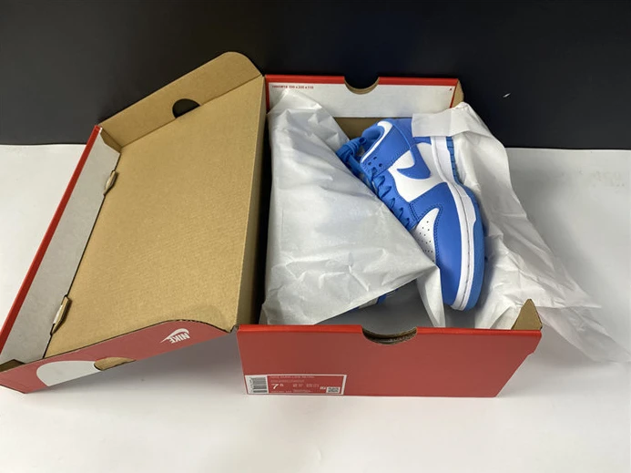 EasyMatch Nike Dunk Low UNC DD1391-102 2105