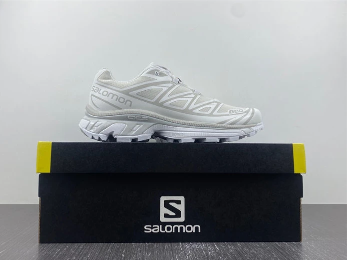 EasyMatch Salomon XT-6 White Lunar Rock 412529 3621