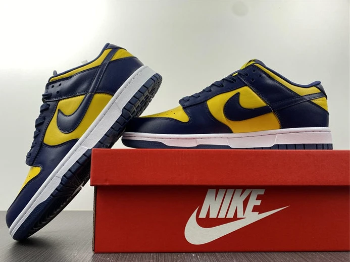 Fashionable 4372 Nike Dunk Low Michigan DD1391- 2029