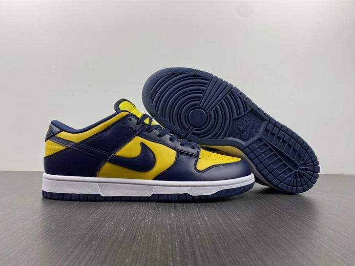 Fashionable 4372 Nike Dunk Low Michigan DD1391- 2029