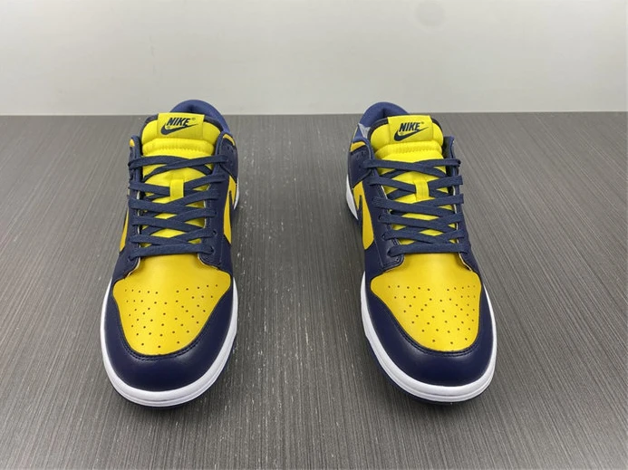 Fashionable 4372 Nike Dunk Low Michigan DD1391- 2029