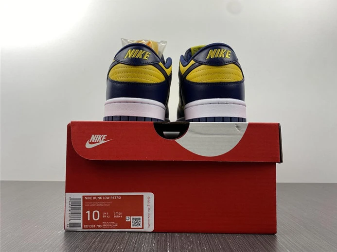 Fashionable 4372 Nike Dunk Low Michigan DD1391- 2029