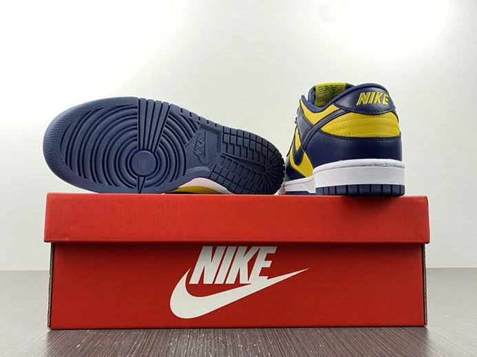 Fashionable 4372 Nike Dunk Low Michigan DD1391- 2029