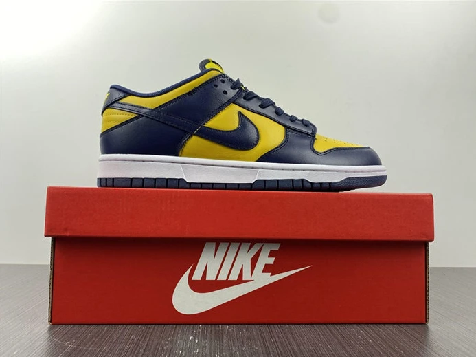 Fashionable 4372 Nike Dunk Low Michigan DD1391- 2029