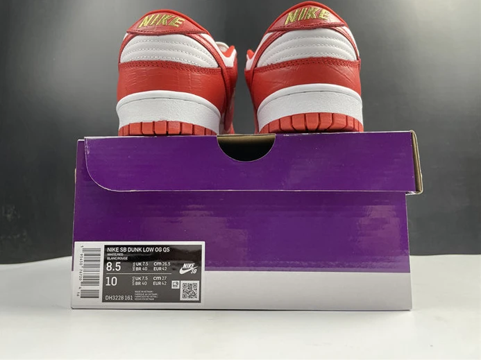 Fashionable Nike SB Dunk DH3228-161 2093