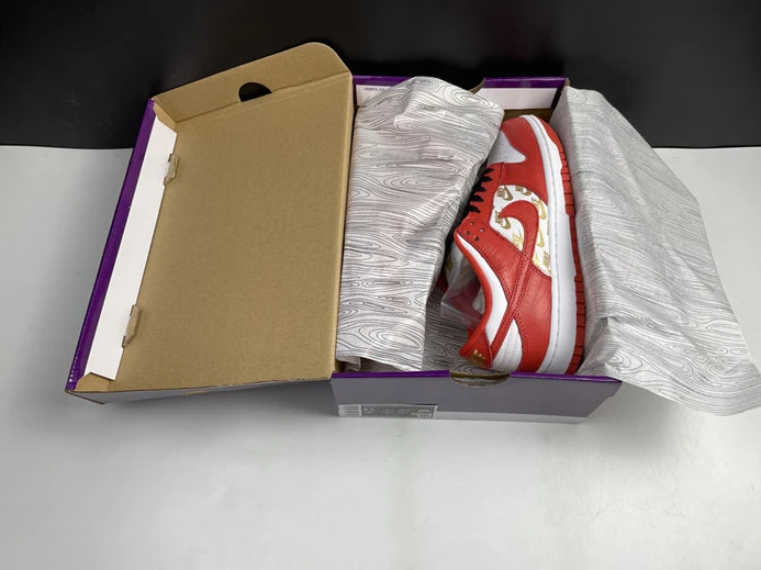 Fashionable Nike SB Dunk DH3228-161 2093