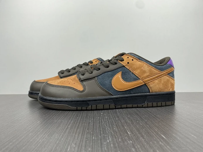 GoAnywhere 5675 Nike Dunk Low Cider DH0601- 1993
