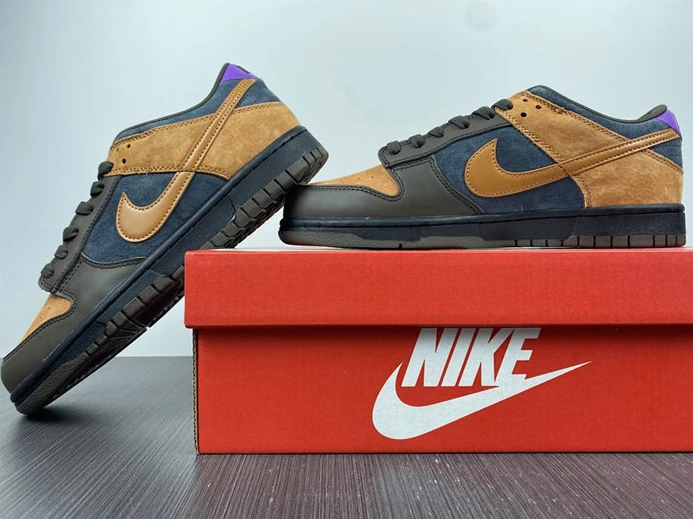GoAnywhere 5675 Nike Dunk Low Cider DH0601- 1993
