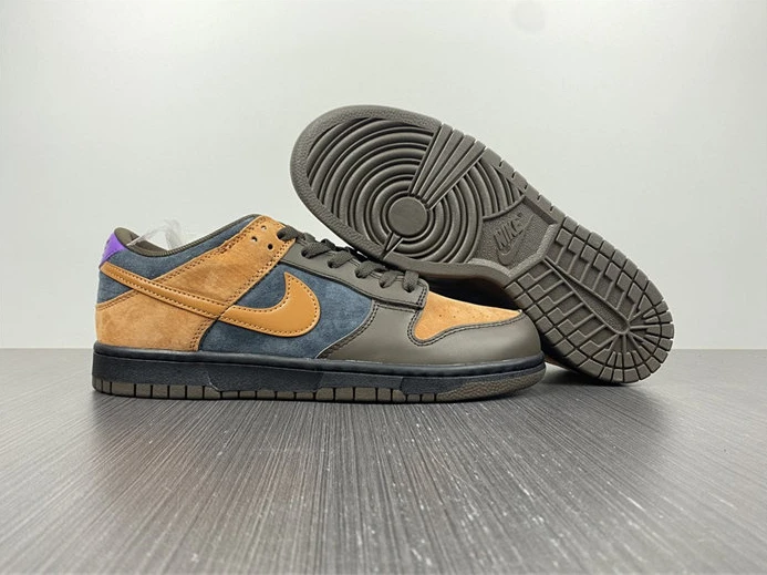 GoAnywhere 5675 Nike Dunk Low Cider DH0601- 1993