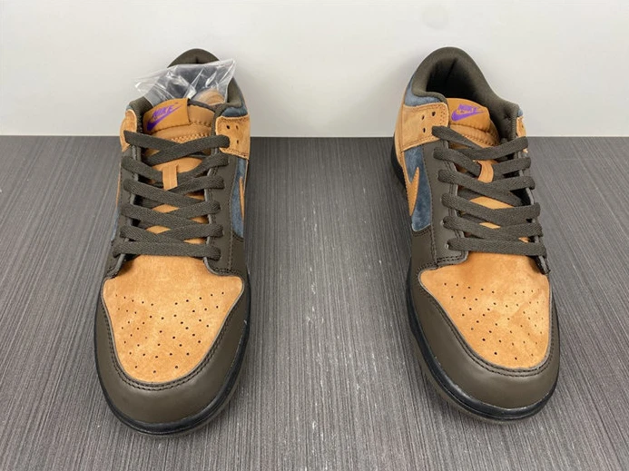 GoAnywhere 5675 Nike Dunk Low Cider DH0601- 1993