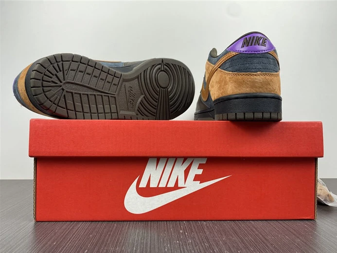 GoAnywhere 5675 Nike Dunk Low Cider DH0601- 1993