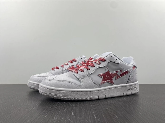 GoAnywhere 9540 BAPE 2810