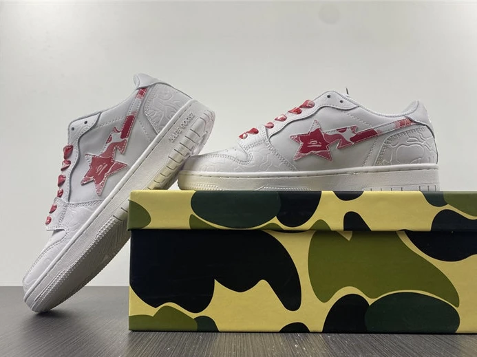 GoAnywhere 9540 BAPE 2810