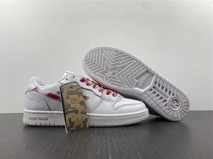 GoAnywhere 9540 BAPE 2810