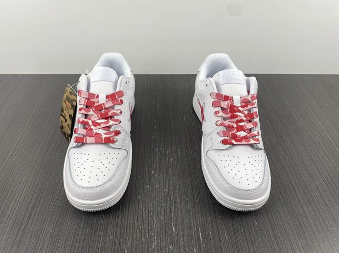 GoAnywhere 9540 BAPE 2810