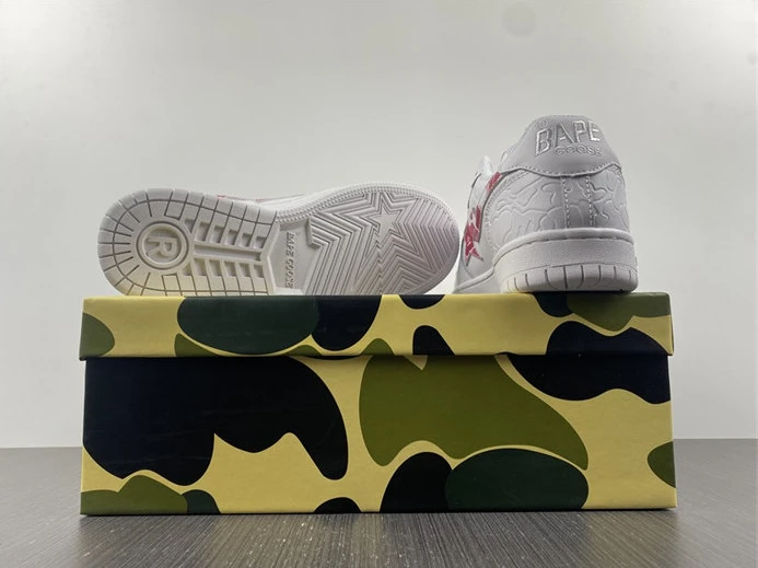GoAnywhere 9540 BAPE 2810