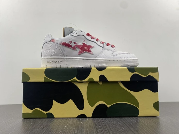 GoAnywhere 9540 BAPE 2810