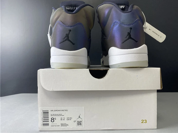 GoAnywhere Jordan5 Oil Grey CD2722-001 966