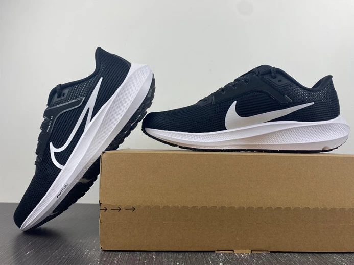 GoAnywhere NIKE AIR ZOOM PEGASUS 40  DV7480-001 2773