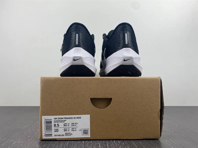 GoAnywhere NIKE AIR ZOOM PEGASUS 40  DV7480-001 2773