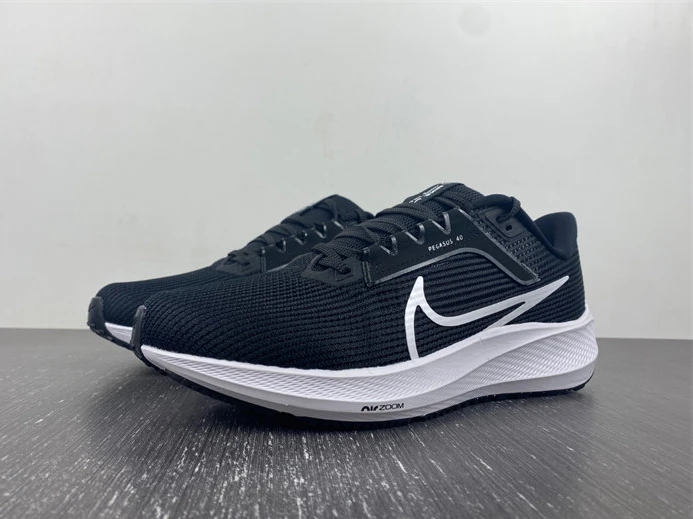 GoAnywhere NIKE AIR ZOOM PEGASUS 40  DV7480-001 2773
